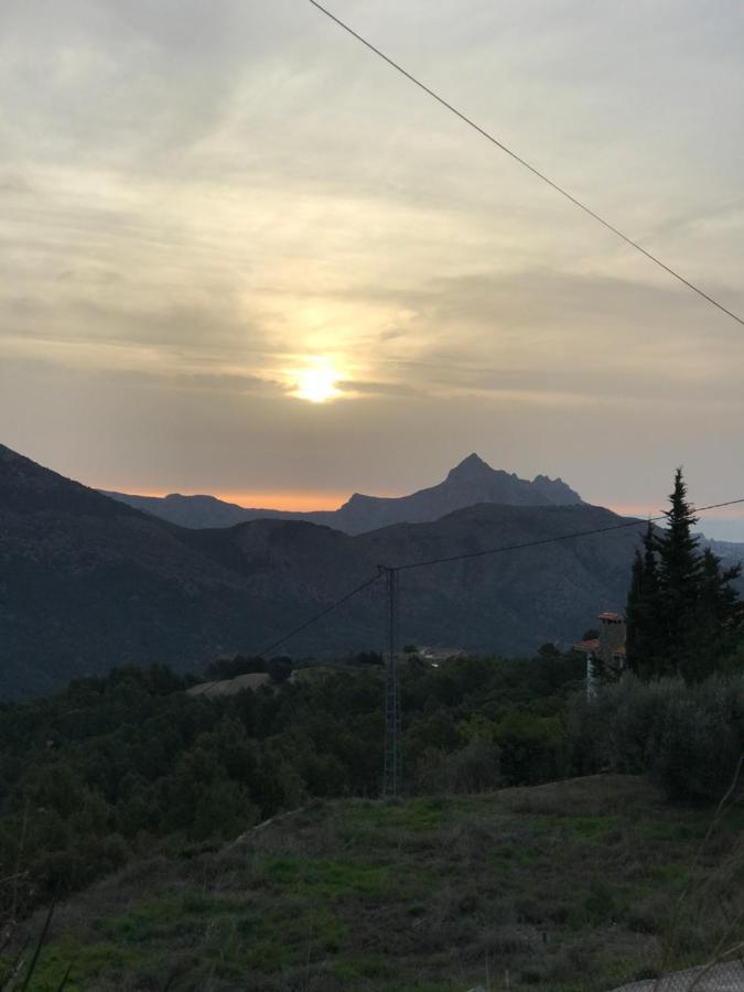 Ca Lidia - Apartamentos Turisticos El Balconet Бенимантель Экстерьер фото